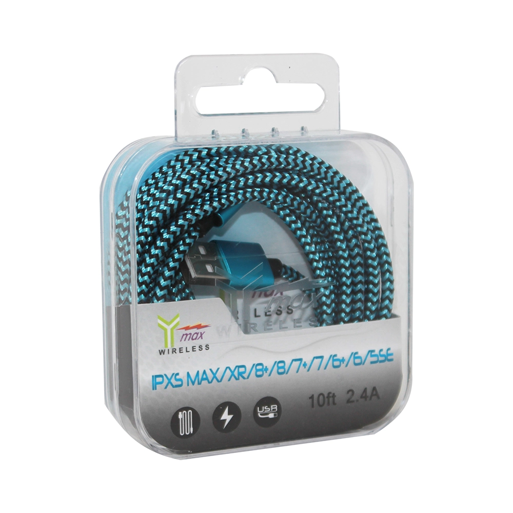 Y-MAX 10FT I10 CABLE 1CT