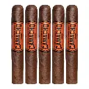 CAM BROADLEAF ROBUSTO (20)