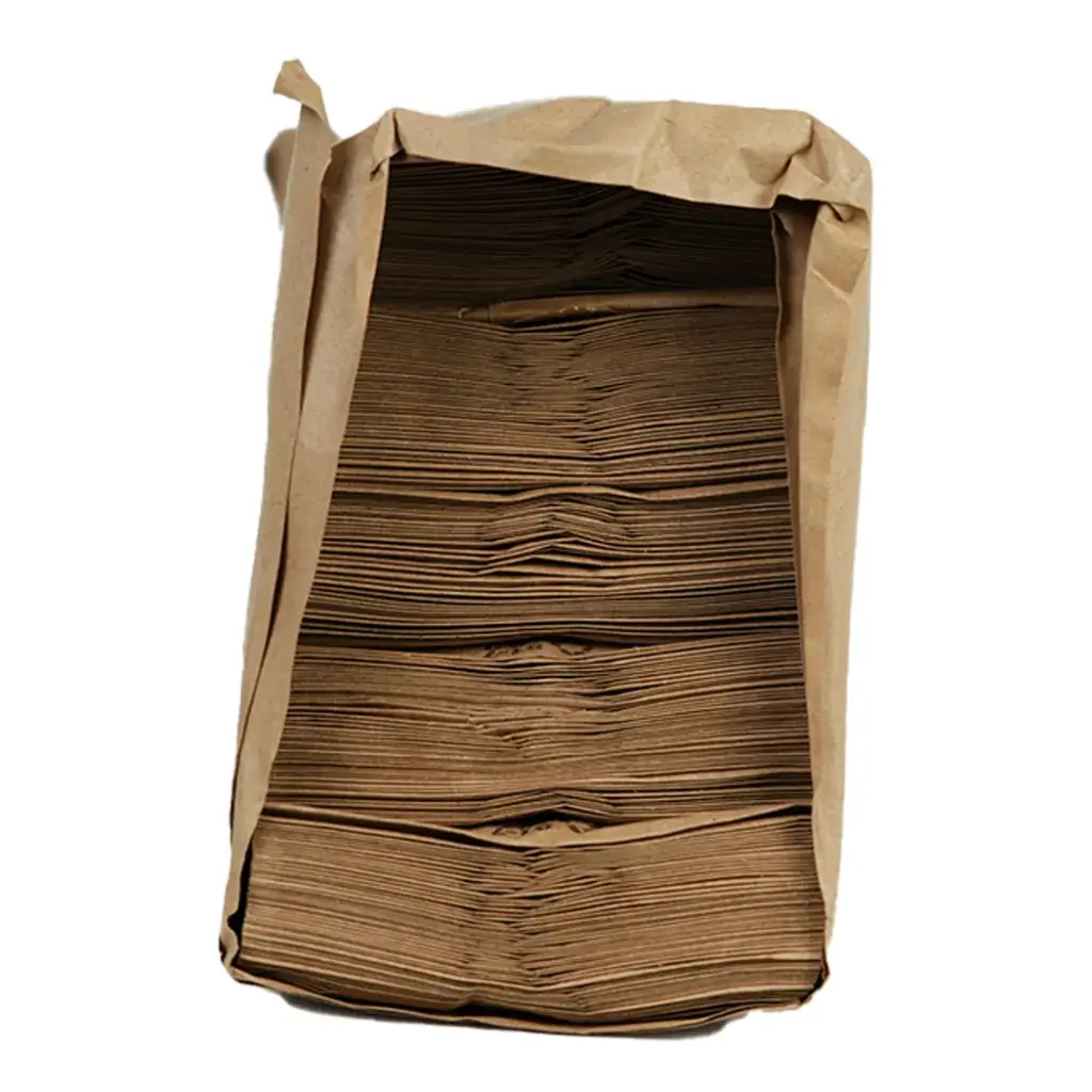 .PAPER BAG #2 500 CT