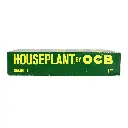 HOUSEPLANT BAMBOO GREEN 1 1/4 24 BOOKLETS