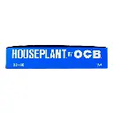 HOUSEPLANT CLASSIC BLUE 1 1/4 24 BOOKLETS