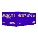 HOUSEPLANT CLASSIC BLUE 1 1/4 + TIPS 24 BOOKLETS