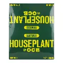 HOUSEPLANT BAMBOO GREEN 1 1/4 CONES 32 BOXES