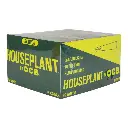 HOUSEPLANT BAMBOO GREEN 1 1/4 CONES 32 BOXES