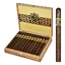 ASHTON VSG SPELLBOUND (24)
