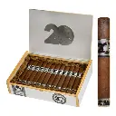 ACID 20 MADURO ROBUSTO(5X50BP)(24)