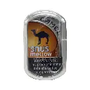 CAMEL SNUS 5-15 POUCHES