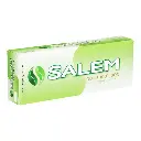 SALEM 100'S BOX